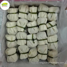 Factory bulk wholesale distribute dim sum snack IQF Frozen money bag